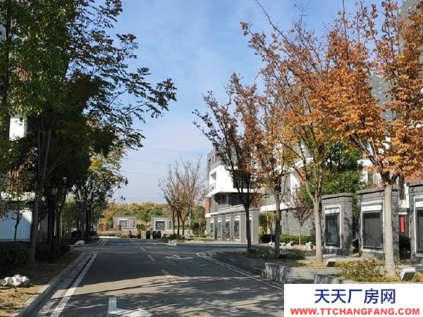 高淳開發區長短期倉庫出租