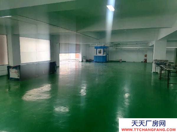 南京市高淳區(qū)本棟三層，二三層自用，樓倉庫閑置