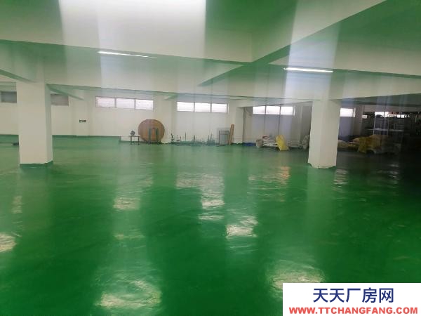 南京市高淳區(qū)本棟三層，二三層自用，樓倉庫閑置