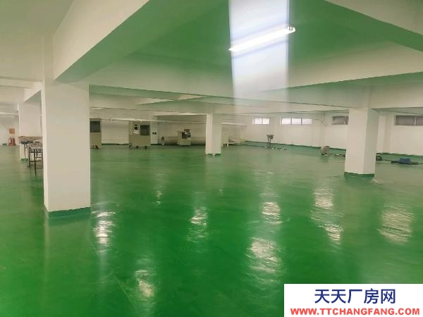 南京市高淳區(qū)本棟三層，二三層自用，樓倉庫閑置