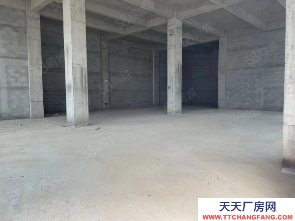 南京市高淳區 好廠房出售 現房銷售 低價格 高品質