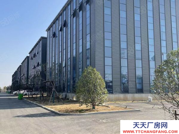 南京市高淳區 好廠房出售 現房銷售 低價格 高品質