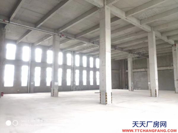 南京市高淳區地鐵口，1200平，40萬首付，50年產權