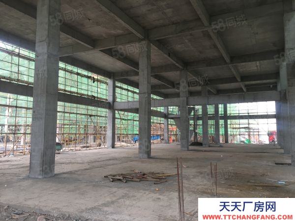 南京高淳區工業廠房 開發商一手 租售 少量單層10米 分層小戶型