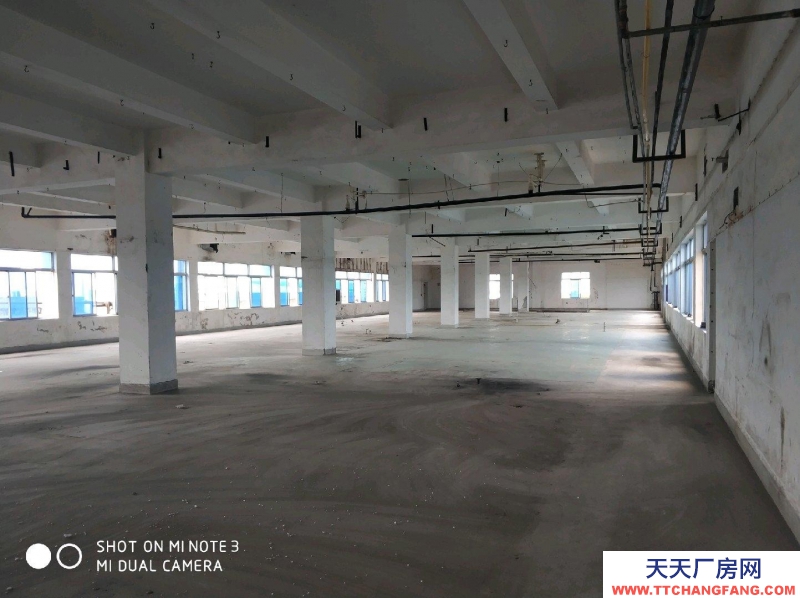 (出租)蕪湖鳩江區 經開區 倉庫 500--4000平米