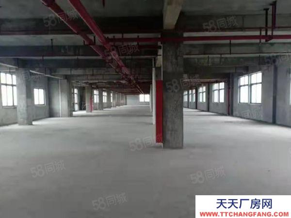 南京市高淳區 D9 137 0165 5055宣城貍橋廠房招租