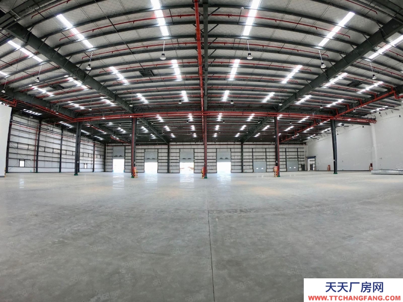 (出租) 蕪湖鳩江區(qū)順豐招商部直租，丙二類高標(biāo)倉庫