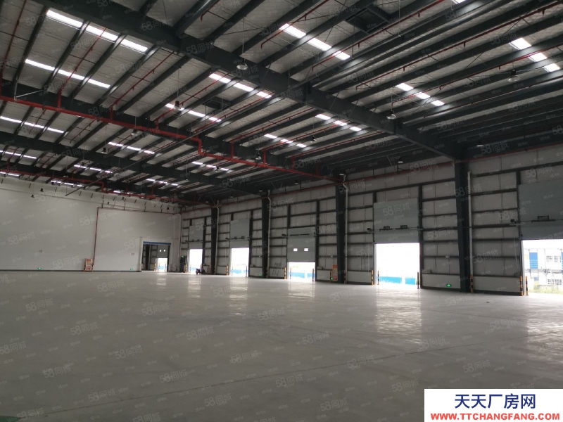 (出租) 蕪湖鳩江區順豐招商部直租，丙二類高標倉庫