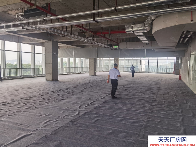 (出租) 廣州政府項目黃埔區可租可售！新型專精區1000平起租租金補貼50