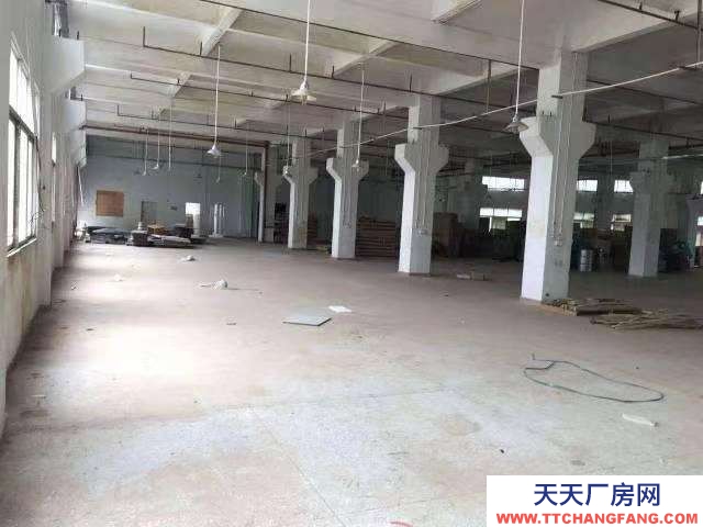 (出租) 蕪湖鏡湖區(qū)周邊標(biāo)準(zhǔn)廠房