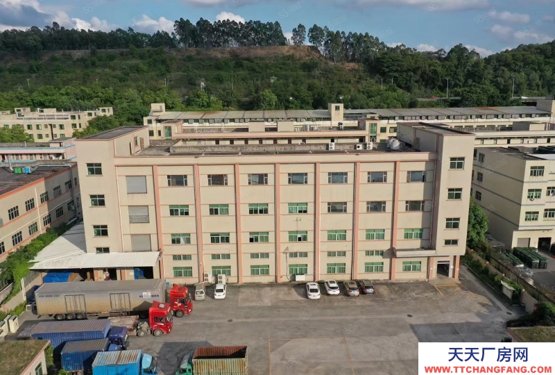 (出租) （新出）東莞常平橋?yàn)r獨(dú)院三層7500平方，可分租