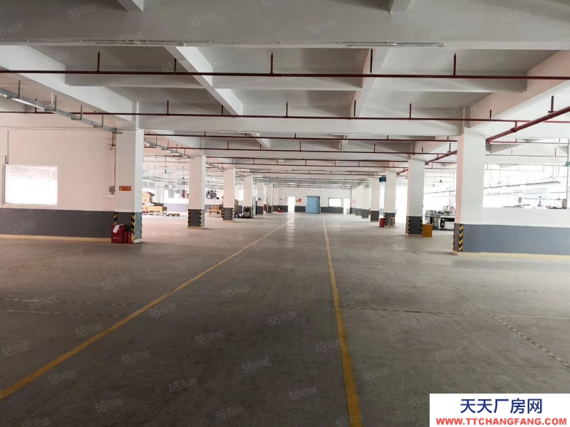 (出租) 東莞鳳崗新出2000平米帶裝修一樓廠房)水電齊全可裝峰谷表