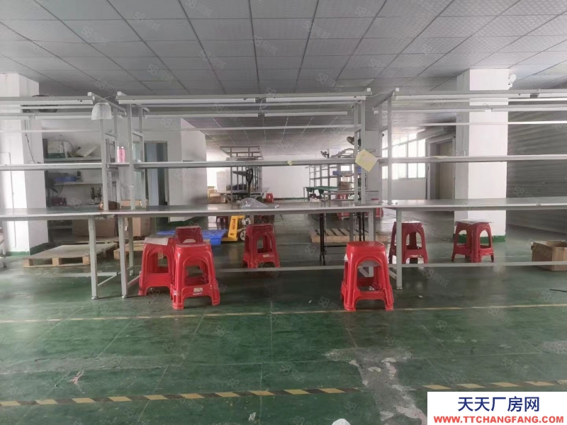 (出租) 東莞大嶺山茶園路2000平方精裝修廠房低價(jià)出租