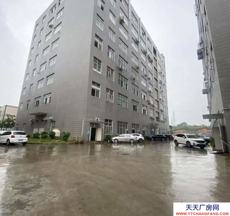 (出租) 東莞塘廈橫塘標(biāo)準(zhǔn)1樓480平方！現(xiàn)成辦公室地板磚精裝修