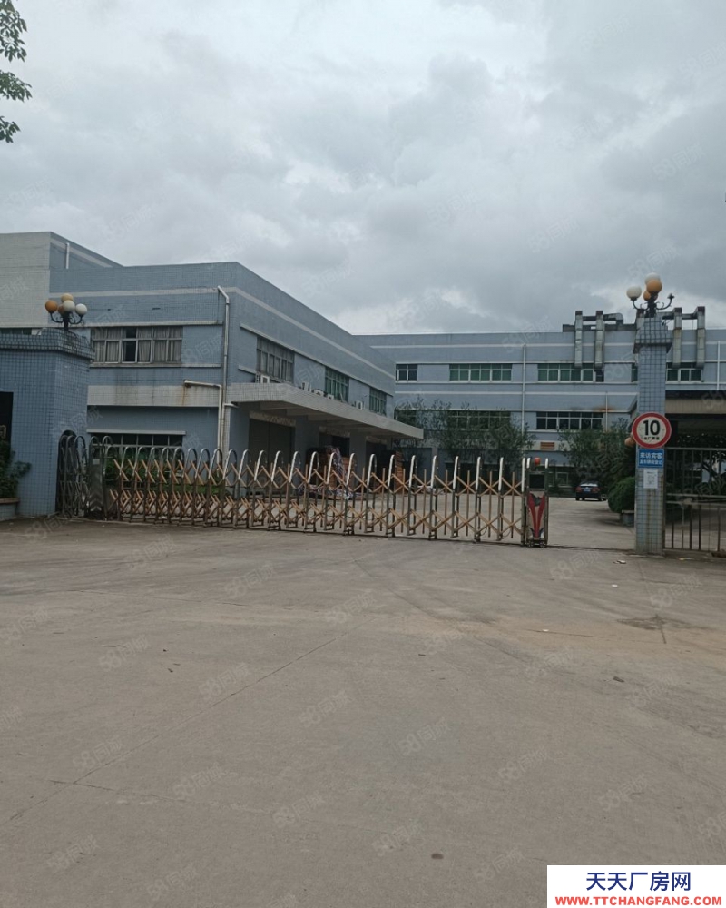 (出租) 東莞寮步新出標準獨門獨院,廠房三棟,一棟兩層,兩棟三層