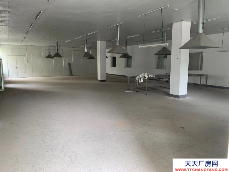 (出租) 蕪湖南陵可以做廠房，可以做倉庫，可整租，也可分租