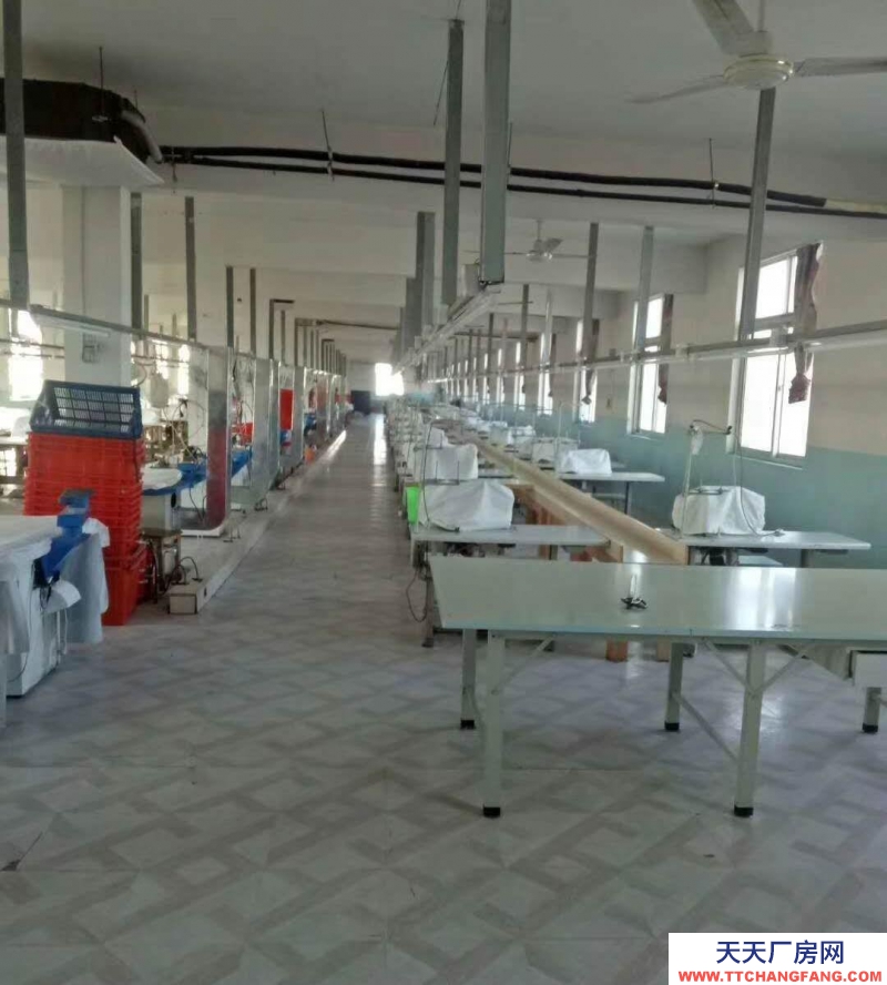 (出租) 蕪湖南陵許鎮(zhèn)河?xùn)|工業(yè)園區(qū) 有辦公樓一棟 一樓食堂 二樓720平方