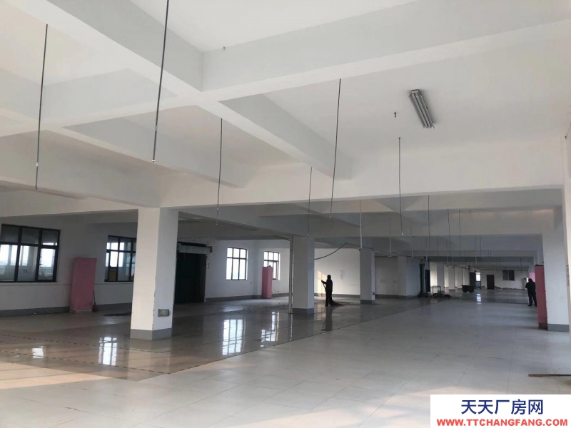 (出租) 蕪湖南陵縣經濟開發區 大工山路一廠房出租