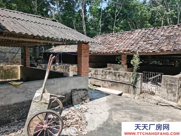 (出租) 養(yǎng)殖場,魚塘,倉庫,住房,面積約20畝