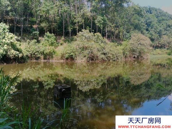 (出租) 養(yǎng)殖場,魚塘,倉庫,住房,面積約20畝