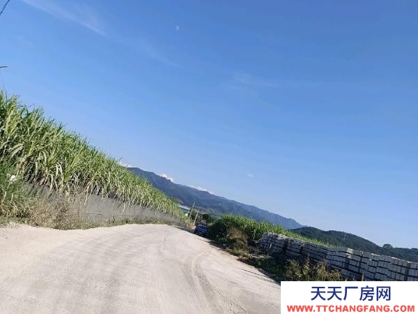 (出租) 紅山完小左邊，10米寬大道，獨立自主，自由使用。