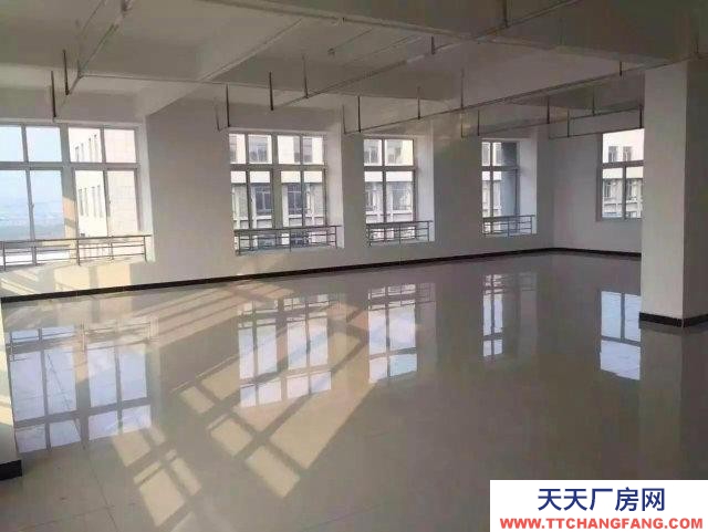 (出租) 蚌埠蚌山電商直播 辦公+倉庫一體