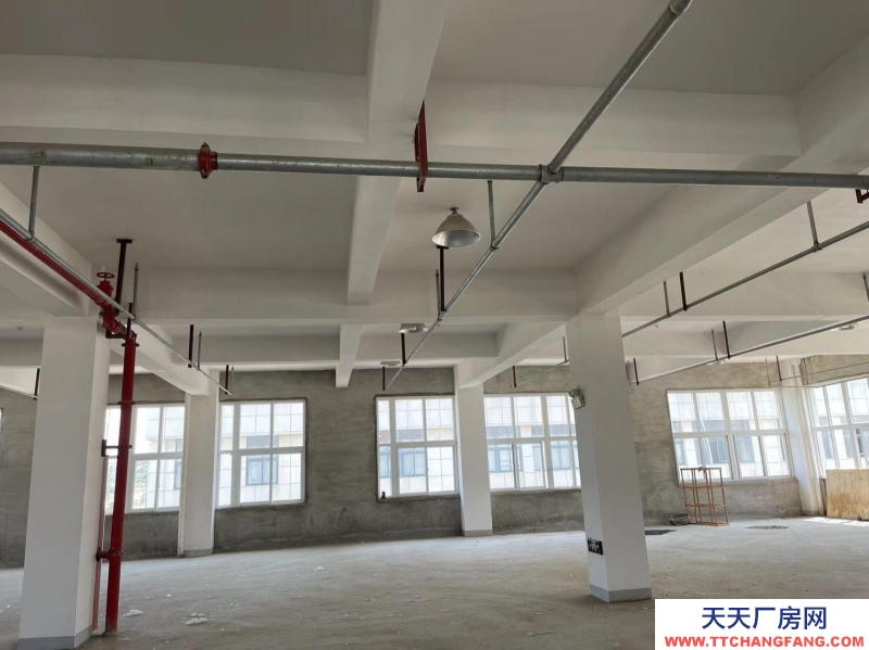 (出租) 蚌埠龍子湖中小企業(yè)產(chǎn)業(yè)園廠房