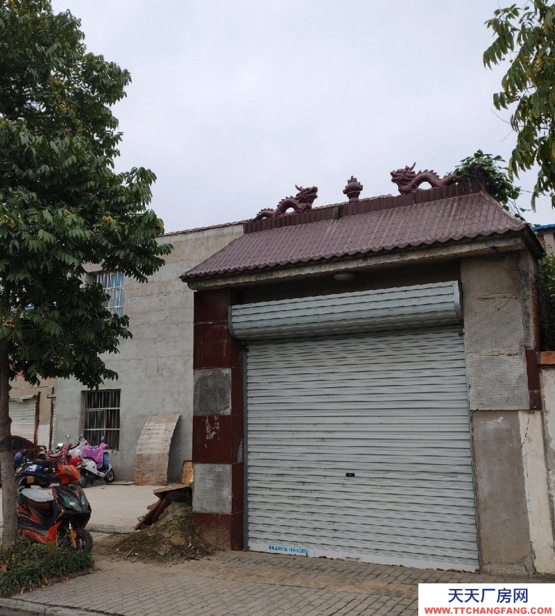 （出租）蚌埠龍子湖270平倉庫