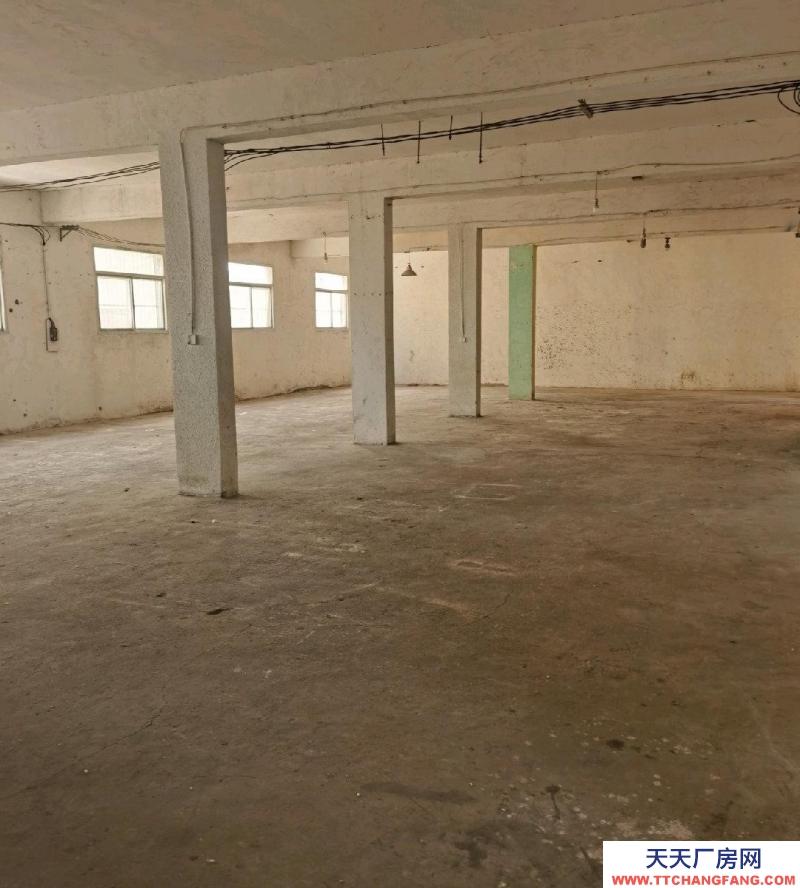 (出租) 蚌埠龍子湖倉庫，廠房，電商倉庫，直播，養寵物等等