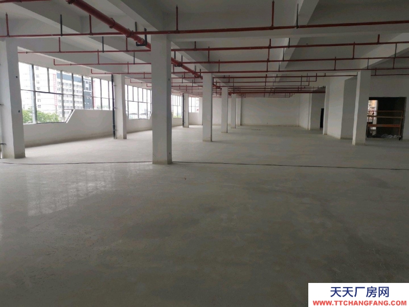 (出租) 蚌埠龍子湖國企新建徽商錦潤物流園項目。今年7月可以投入使用