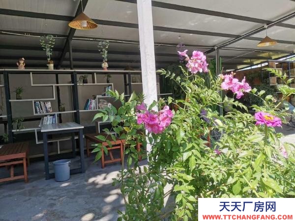 (出租) 可做廠房,倉儲,苗圃,農家樂,露天籃球或足球教學場地