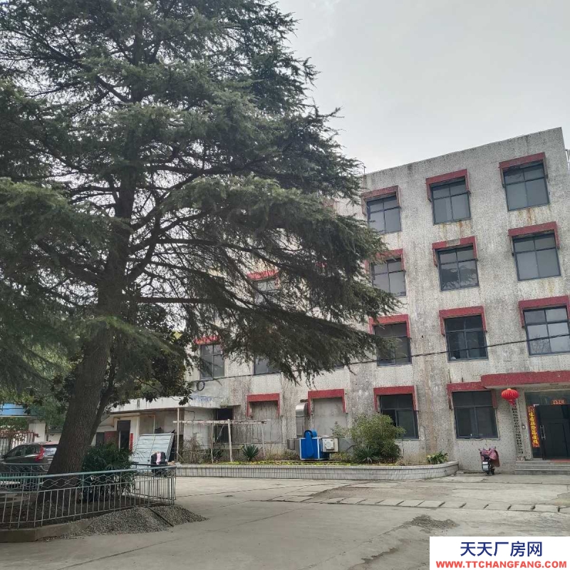 (出租) 蚌埠禹會區東海大道/中糧大道(路口)廠房