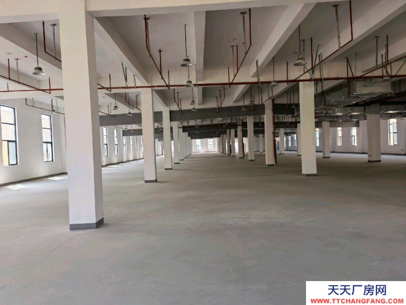 (出租) 蚌埠禹會區一層3000平米兩層六千平米，交通便利，水電齊全