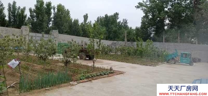 保定 容城  面積較大交通便利水電方便