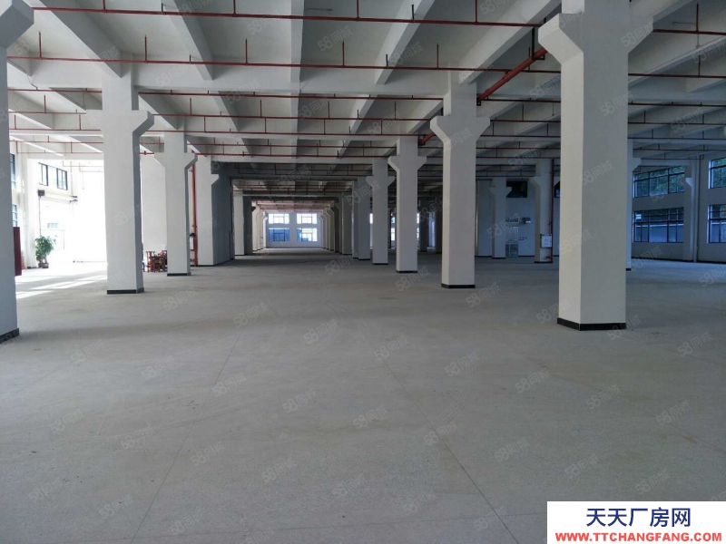 (出租) 東莞茶山鎮(zhèn)環(huán)保產(chǎn)業(yè)園廠房出租，總面積48000平方