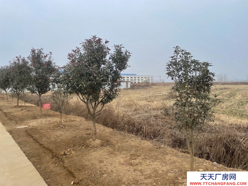 (出售) 蚌埠淮上沫河口工業園 285畝土地 50000平方廠房 主路邊上