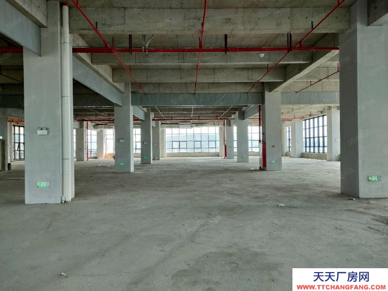 (出售) 東莞道滘紅本廠房出售標準層2000平800平起售50年產權