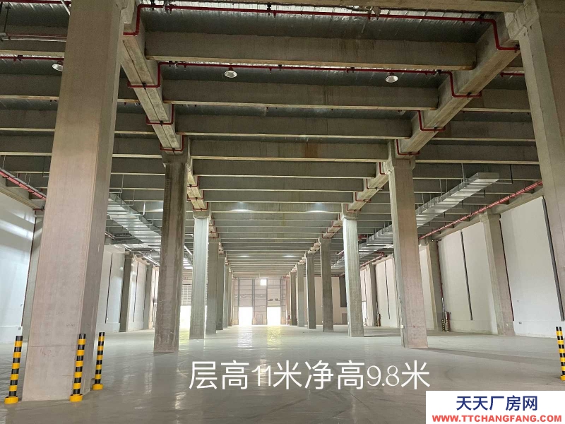 杭州臨安(出租) 環(huán)球科創(chuàng)園12萬方高標(biāo)坡道倉出租