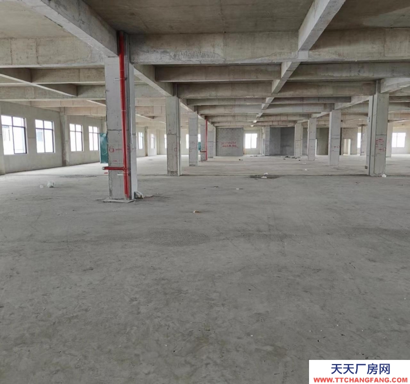 南寧市西鄉塘區(出租) 標準廠房，每平方承重1.5噸，雙電梯5噸