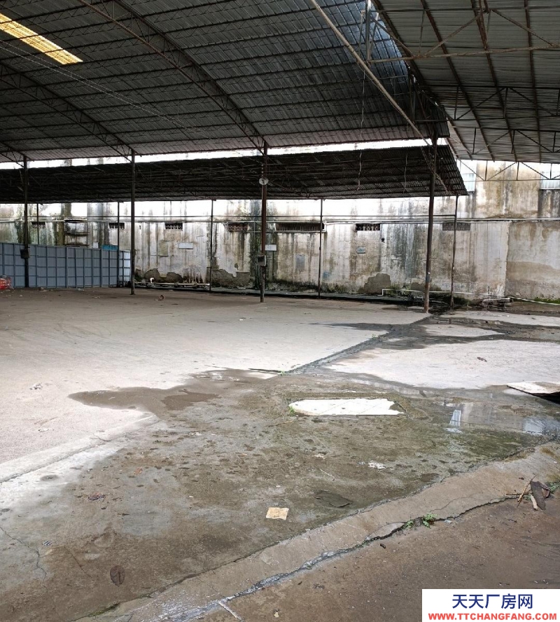 南寧市西鄉塘區(出租) 安吉廠房出租地鐵口18元/平可辦證營業或當倉庫3935228