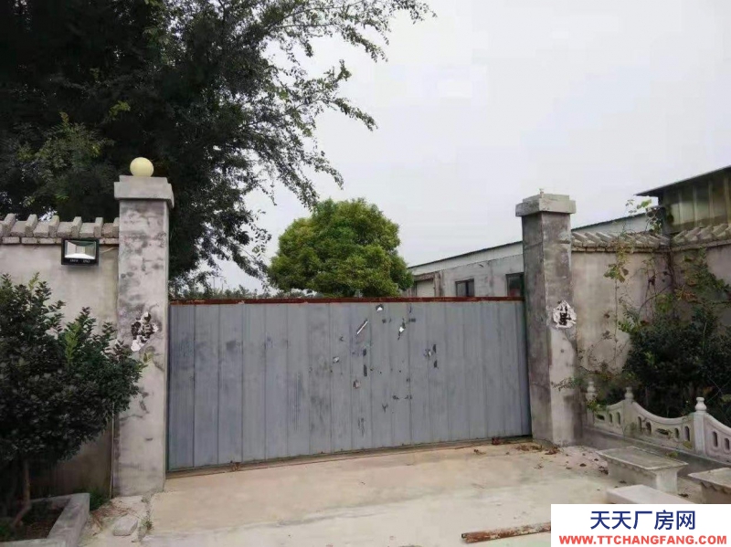 棗莊棗莊市臺兒莊區運河大道