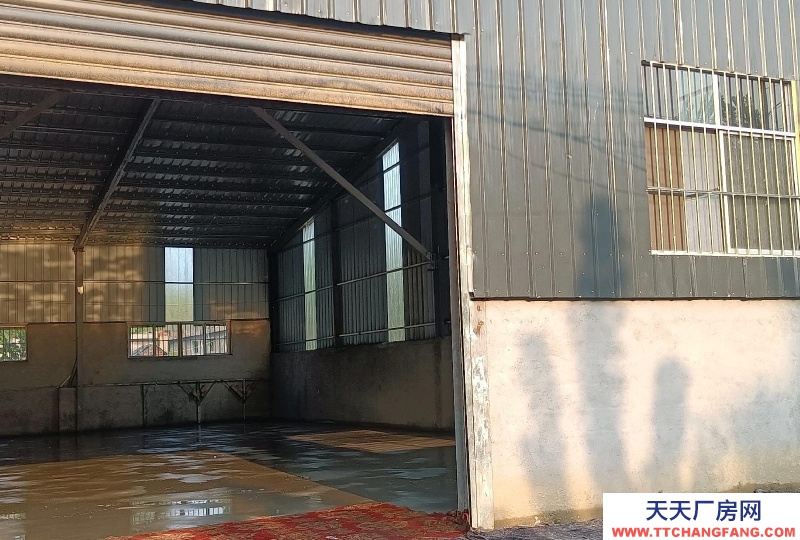 棗莊臺兒莊交通便利新廠房，地理位置優越