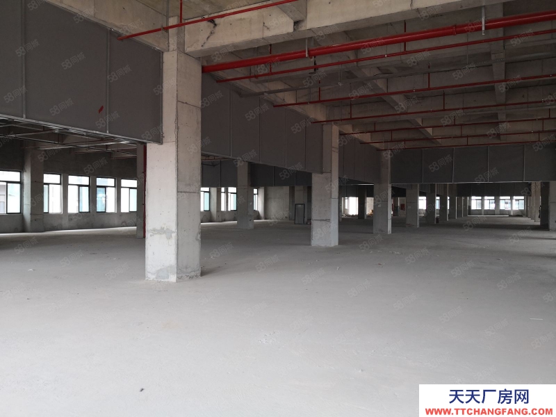 南寧市西鄉塘區(出租) 高新大道全新廠房倉庫,有一樓!可分租小面積,有補貼