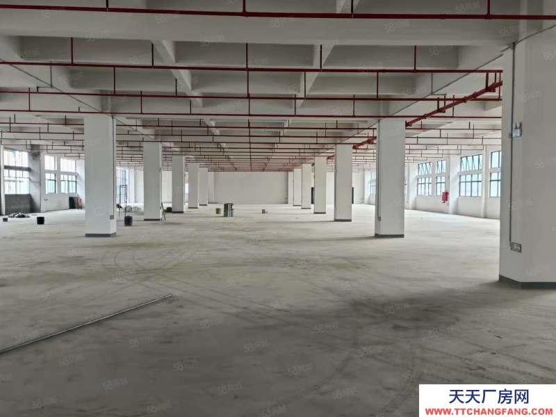 (出售) 東莞低價出售石排鎮新出全新標準廠房1000平方起售，無稅收要求