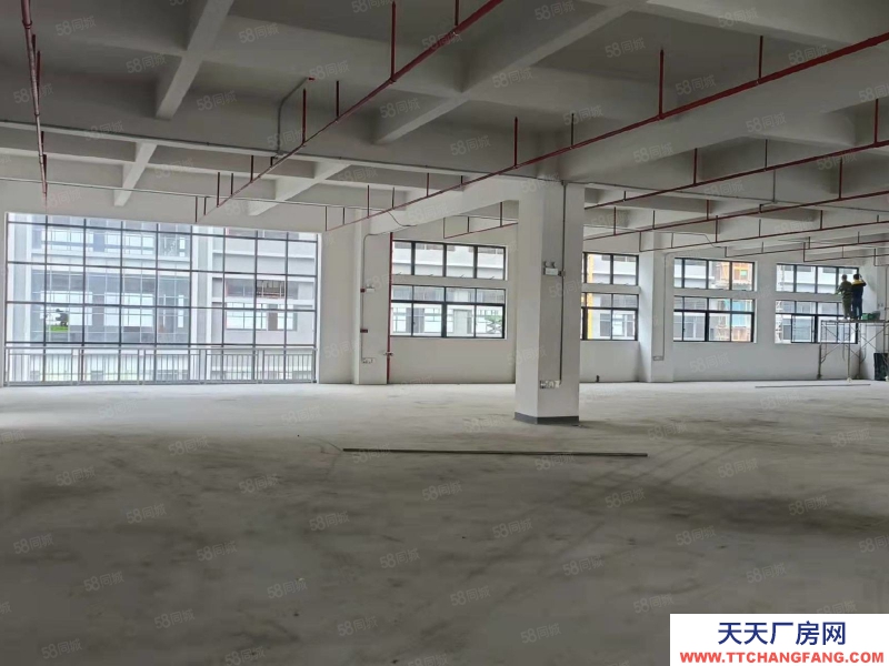 (出售) 東莞低價出售石排鎮新出全新標準廠房1000平方起售，無稅收要求
