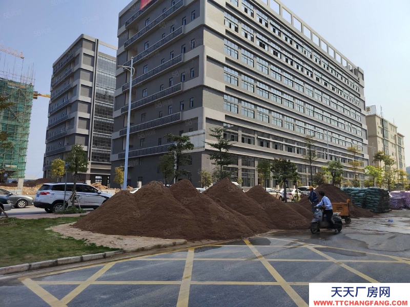 (出售) 東莞低價出售石排鎮新出全新標準廠房1000平方起售，無稅收要求
