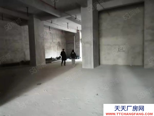 株洲市天元區(qū)倉(cāng)庫(kù)出租丶交通便利正規(guī)市場(chǎng)丶價(jià)格低丶免物業(yè)丶保安24小時(shí)值班