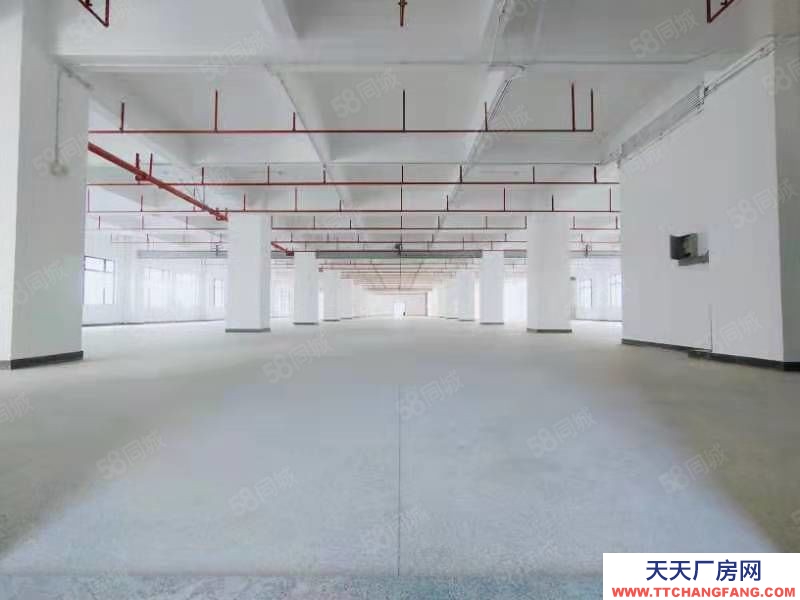 (出租) 東莞鳳崗4000平方米紅本全新電商倉庫出租)帶卸貨平臺6部貨梯