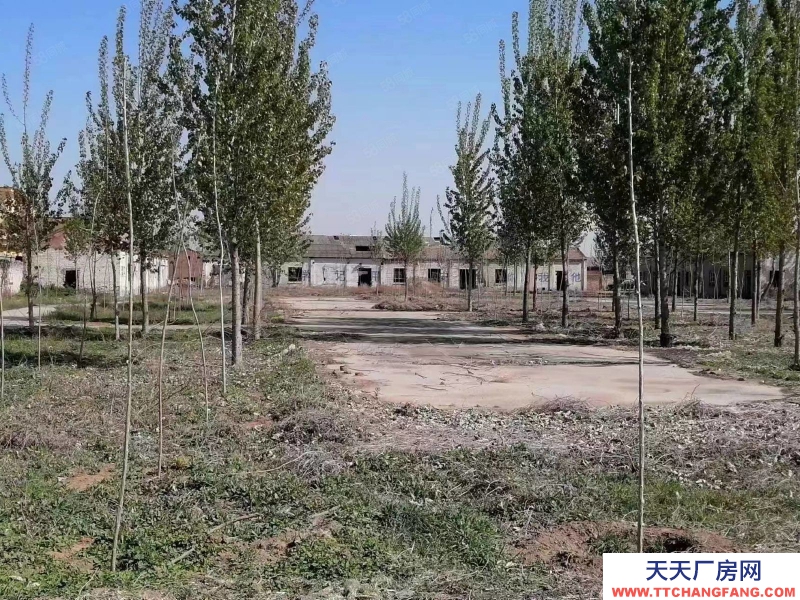 保定 順平 15000平廠區各種手續齊全出租出售合作多種形式