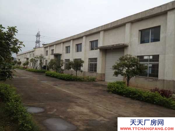 株洲市天元區天易科技城倉庫優惠出租